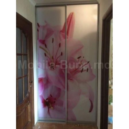 Dulap cupe cu  Imprimare foto pe sticla Model A-91