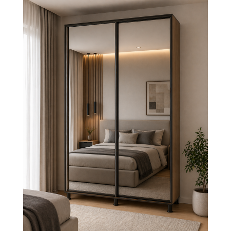 Шкаф купе с 2 зеркальными дверцами А-9