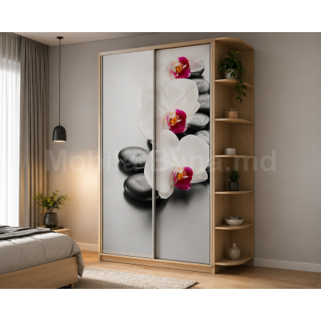 Шкаф-купе с фотопечатью A-6