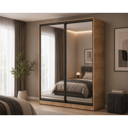 Шкаф купе с 2 зеркальными дверцами А-2