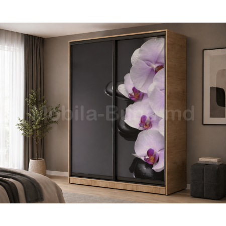 Шкаф-купе с фотопечатью A-3